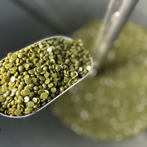 A spoon full of green lentils on top of a table.